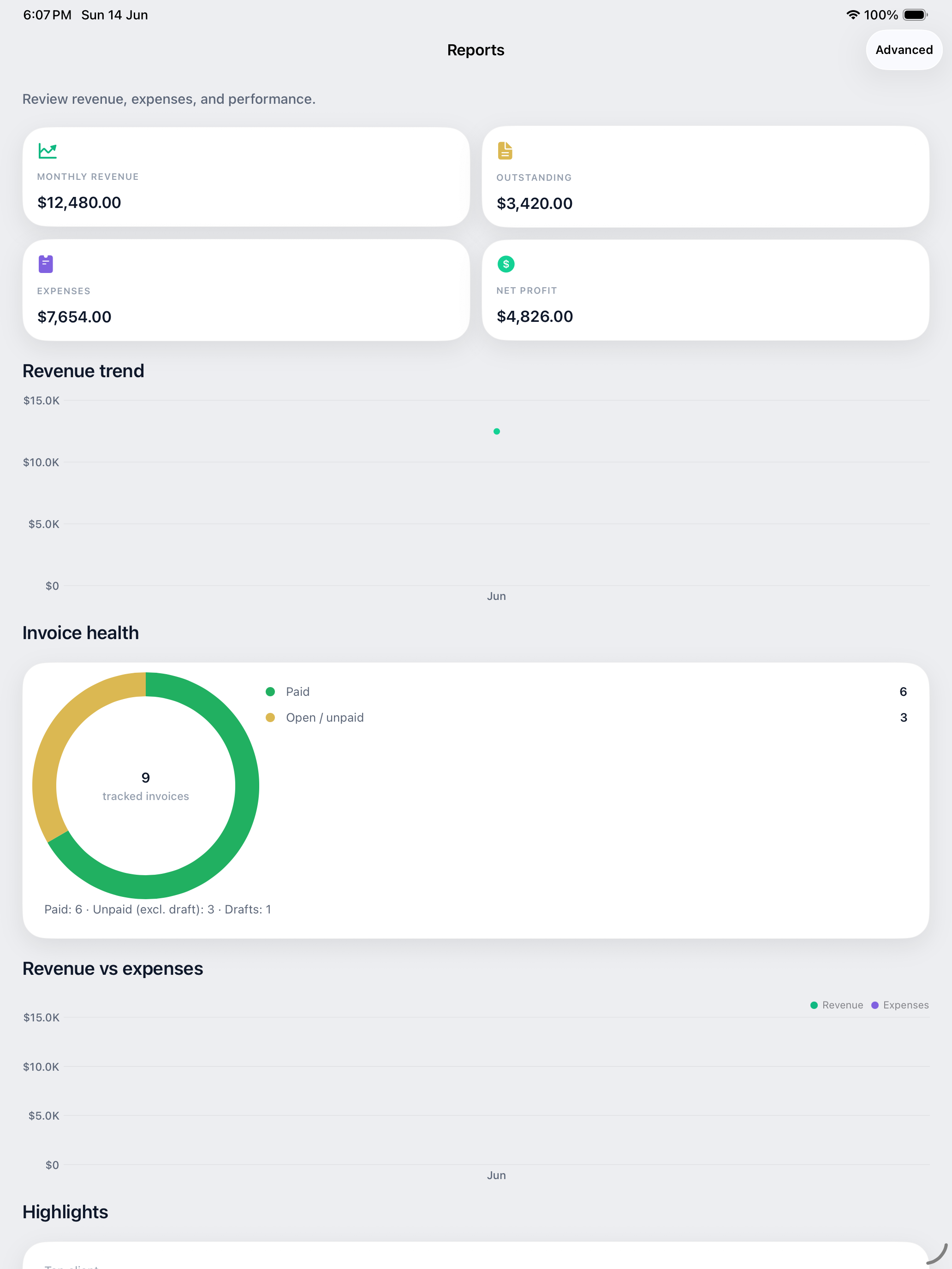Profit Log business reports on iPad